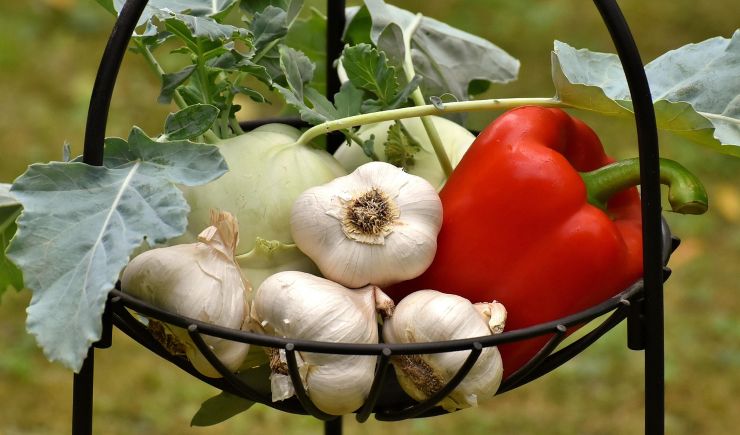 peperone aglio cavoli cipolle
